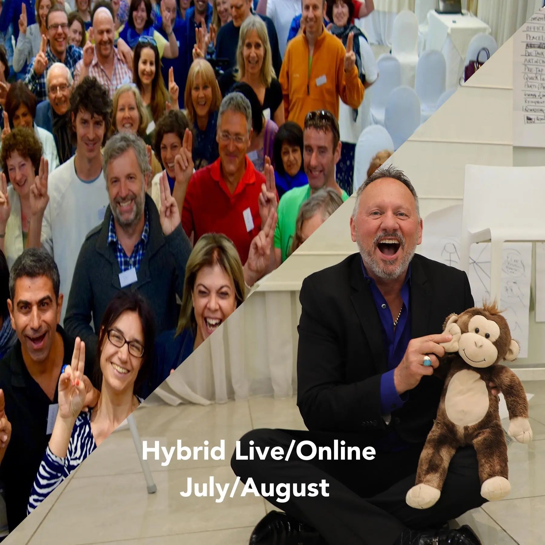 Level 2 Hybrid Live/Online - eutaptics® FasterEFT™ Fundamentals of a Powerful Session Training (JULY/AUGUST), skillstochange.com