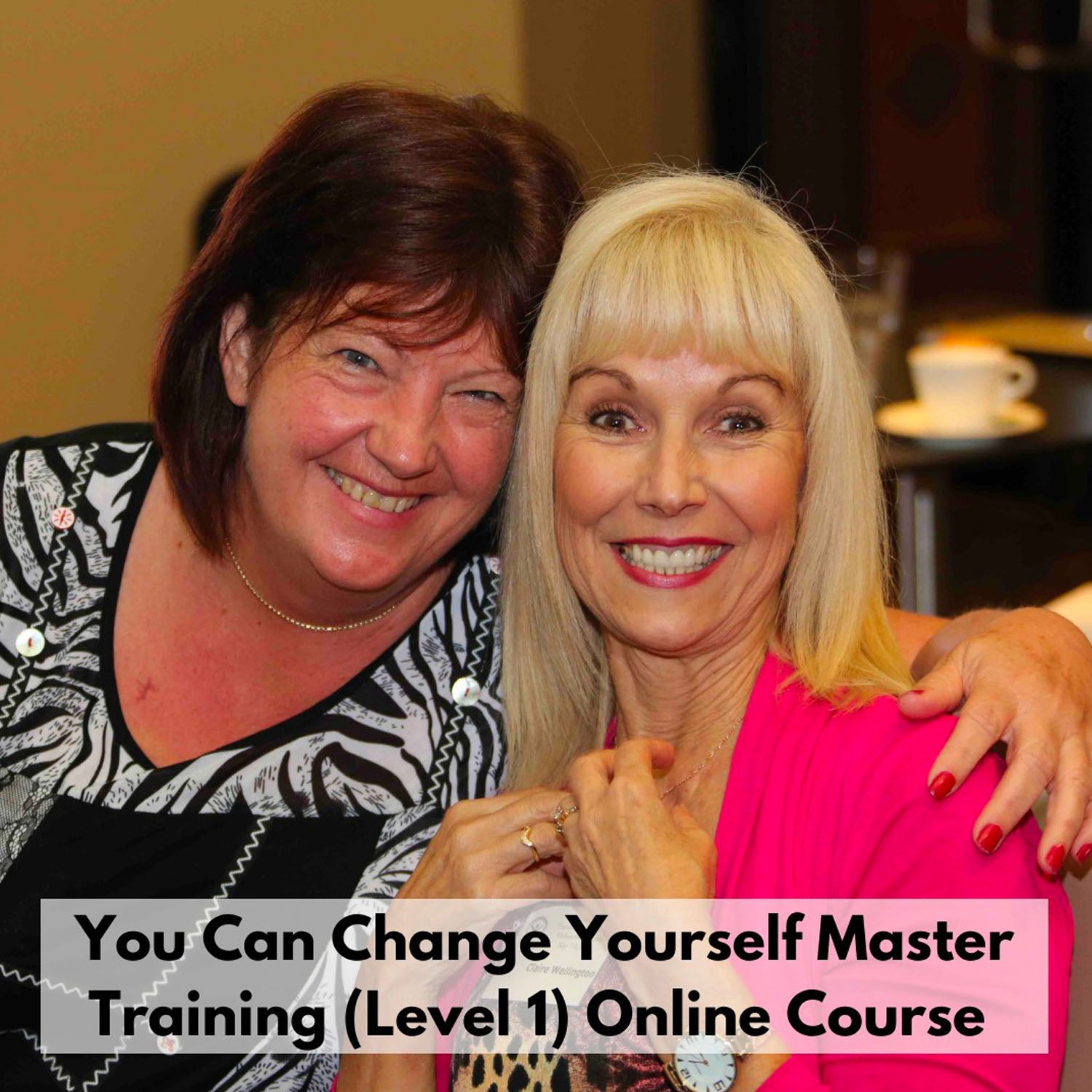 "You Can Change Yourself Master Training" (Level 1) ONLINE Course, skillstochange.com