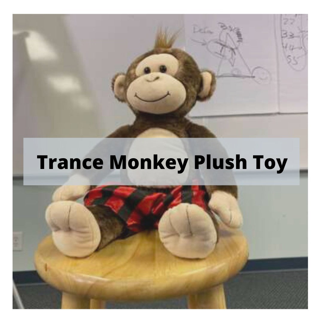 Trance Monkey Plush Toy – Skills To Change Institute