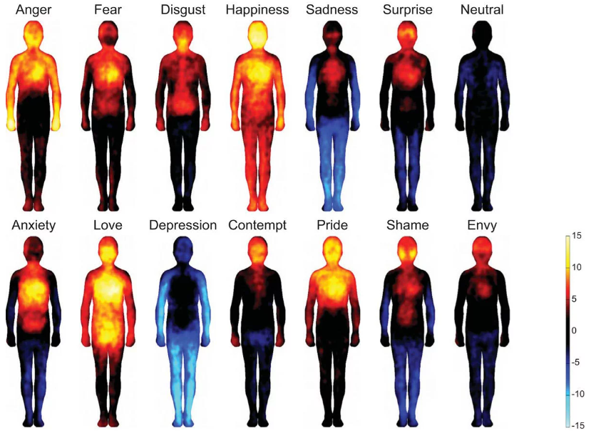 Imaging Technology Provides Proof of How Emotions Manifest in the Body