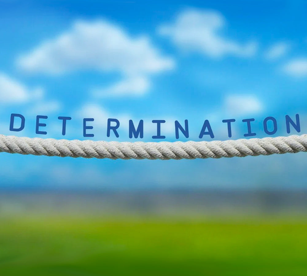 When you Turn Frustration into Determination to Lead to Transformation, skillstochange.com