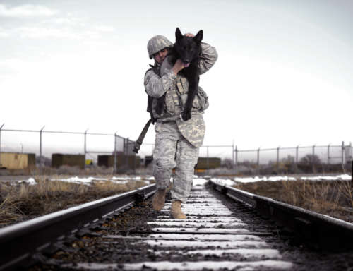 Canva - Soldier Carrying His Dog